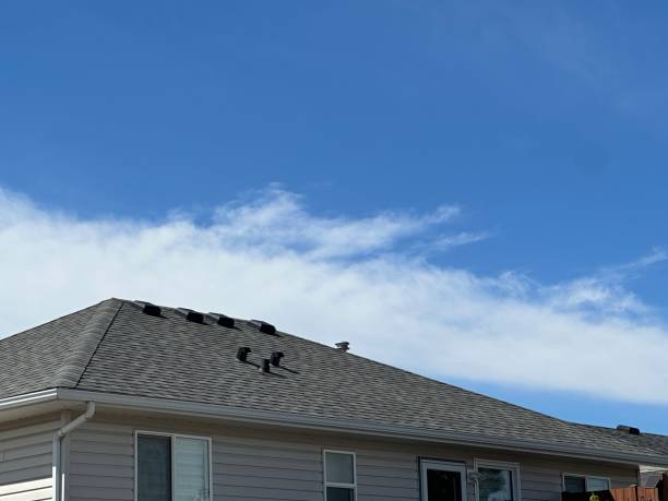 Best Chimney Flashing Repair  in Bradley Gardens, NJ